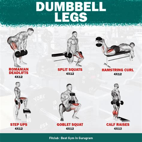 Leg Workouts at Gym: To Build Stronger Legs | Fitclub