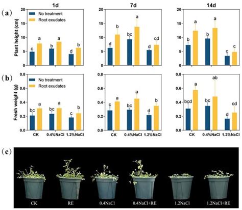The Multiple Promoting Effects of Suaeda glauca Root Exudates on the ...