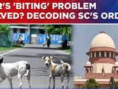 SC Directs Delhi Administration To Move All Stray Dogs To Dog Shelterts ...