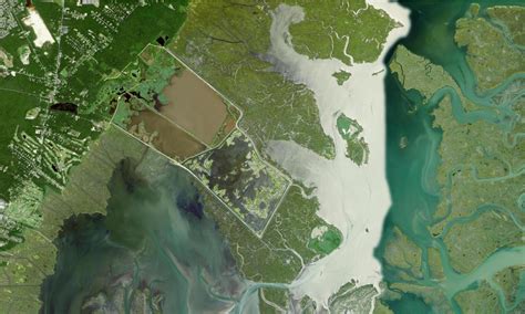 Wildlife Drive at Edwin B. Forsythe Refuge | FWS.gov