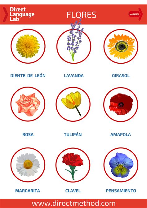 Spanish Translation For The Flowers at Kiara Michelle blog