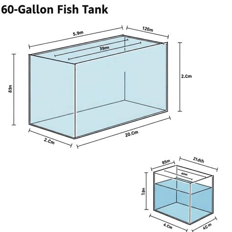 Complete Guide to 60 Gallon Fish Tank Dimensions: Everything You Need ...