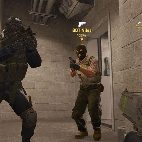 Python Aimbot 的图像结果