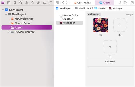 Image result for Swiftui Xcode Imagerenderer Class