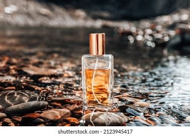 Image result for Math Reflection Project