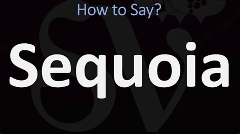 How to Pronounce Sequoia? (CORRECTLY) - YouTube