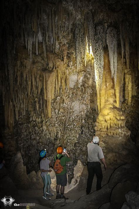 Image result for Kickapoo Cavern State Park Kickapoo Cavern Tours