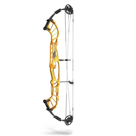 HOYT INVICTA 40 DCX COMPOUND BOW — ArcheryKart