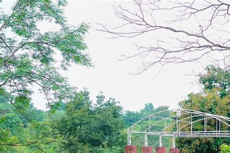 River Paradise Resort - Venue - Bhor - Weddingwire.in