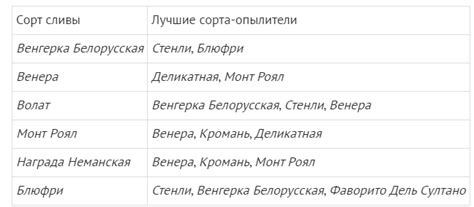 Почему не плодоносит слива и что с этим делать / Домоседы