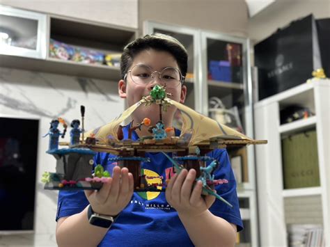 Image result for LEGO Set Build