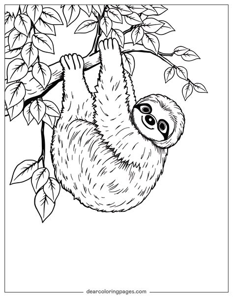 Sloth Coloring Pages - 18 Free Printable Coloring Pages