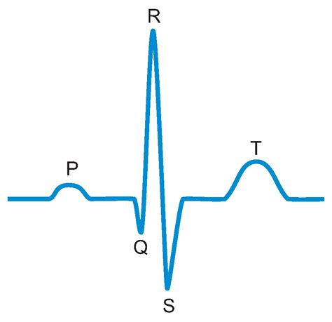 A Novel 12-Lead ECG T-Shirt with Active Electrodes
