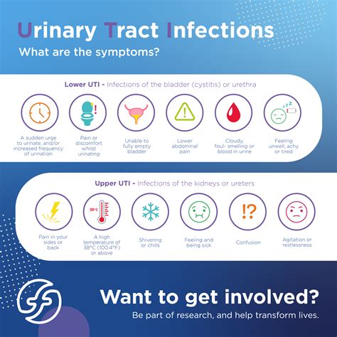 Urinary Tract Infections: Symptoms, Causes, & Prevention