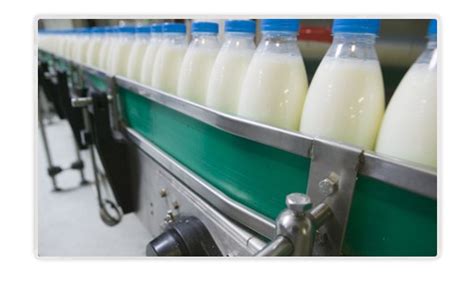 Mohan Exports (India) Pvt. Ltd