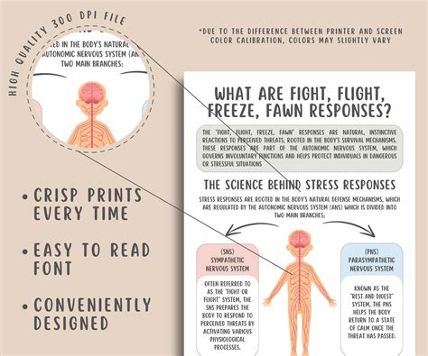 Fight, Flight, Freeze, Fawn Trauma Responses Worksheets – MindSpace
