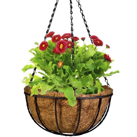 Dhavesai Coir Hanging Thick and 10-Inch Pot for Home Garden (Pack of 3 ...