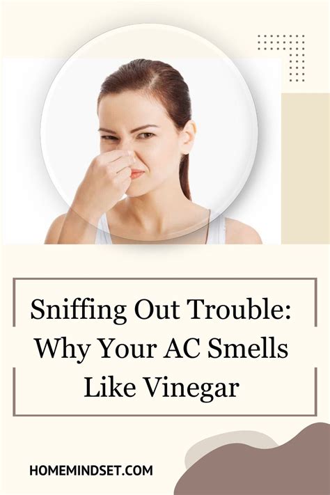 Sniffing Out Trouble: Why Your AC Smells Like Vinegar | House smells ...