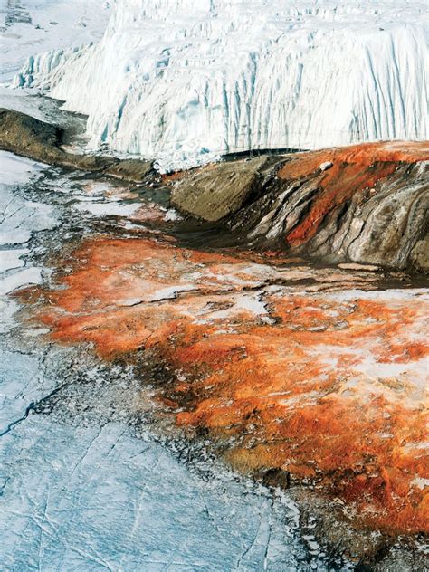The Blood Falls Of Snowy Antarctica