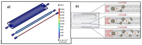 A Synergistic Overview between Microfluidics and Numerical Research for ...