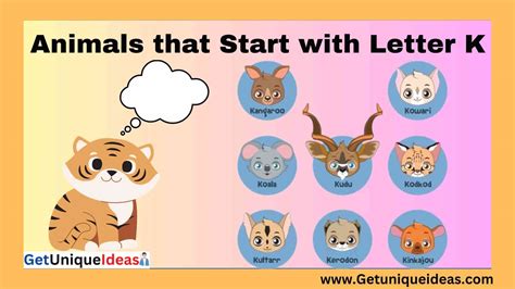 Top 100 Animals that Start with K: Pictures, Facts - GetUniqueIdeas