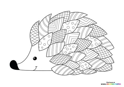 Coloring Pages Hedgehog