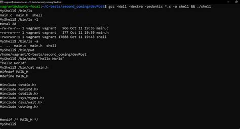Image result for Build Your Own Shell in Linux