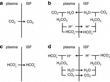 LCO2 Transport Icon 的图像结果