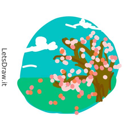 How to Draw a Spring 的图像结果