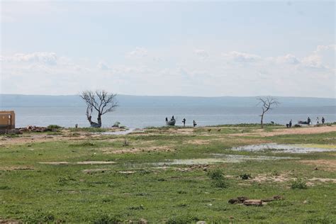 Oil Money Heralds Trouble For Uganda’s Indigenous Bagungu Tribe | Earth Journalism Network