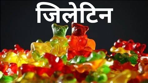 composting - vermicompost, gobar biogas