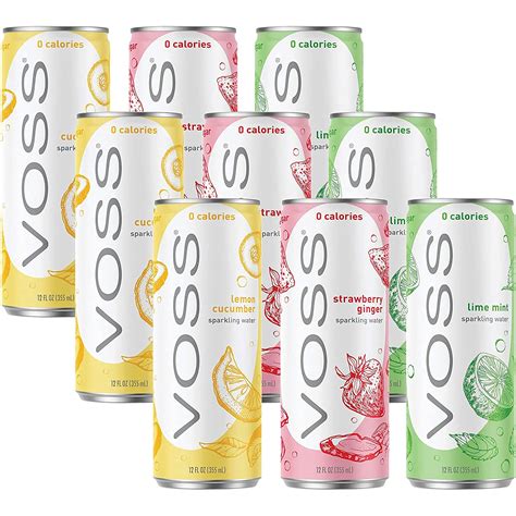 VOSS Lime Mint, Lemon Cucumber, Strawberry Ginger, India | Ubuy