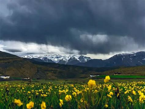 Valley of Flowers trek in Uttarakhand: Difficulty, time, permits, what ...