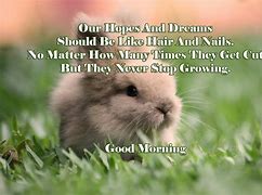 Image result for Old Happy Bunny Quotes