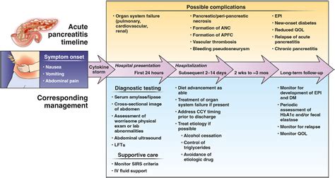 Diagnosis and Management of Acute Pancreatitis - Gastroenterology