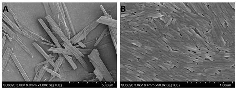 Enhanced Oral Bioavailability of Celecoxib Nanocrystalline Solid ...