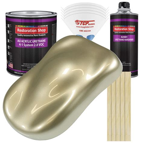 Metallic Champagne Paint Color