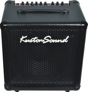 Kustom Sound Cube 80 Amplispeaker : Amazon.in: Musical Instruments