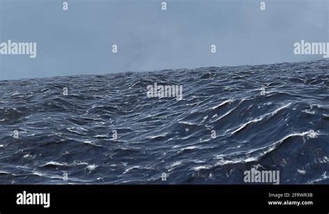 Computer Simulation of the Ocean 的图像结果