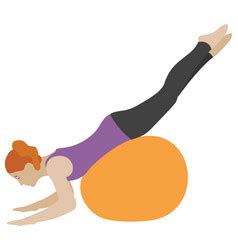 Image result for Exercise Graphics