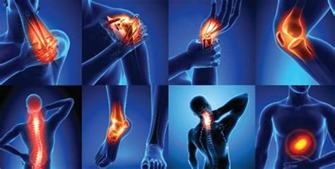 Conquer Joint and Muscle Pain Naturally: The Ayurvedic Path to Lasting ...