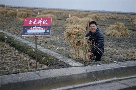 大米米铺卖米高清图片下载_红动中国