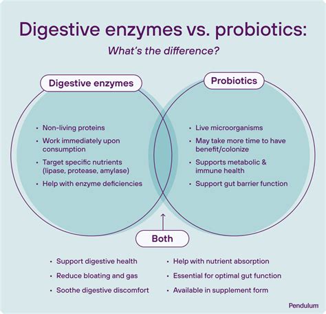 Digestive Enzymes Vs Probiotics