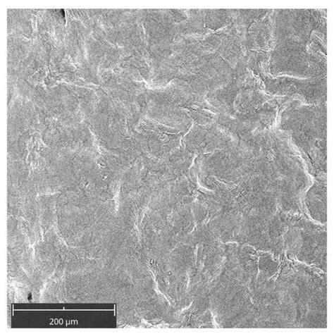 Photodynamic Therapy with Aminolevulinic Acid Enhances the Cellular ...