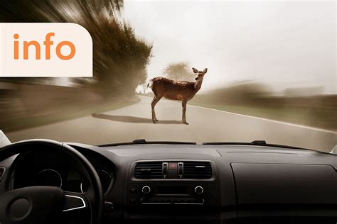 Bismarck Starbucks Closed for the Week