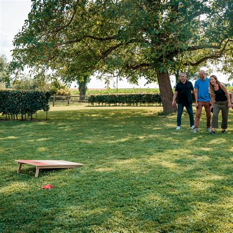 Ultimate Guide to Playing Cornhole: Rules and Regulations