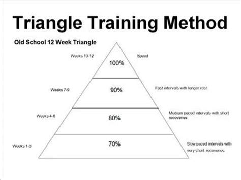 100M Training Program 的图像结果