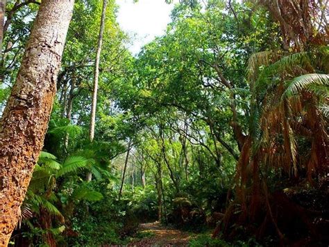Rema Kalenga Wildlife Sanctuary 2