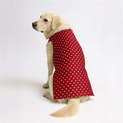 Shops for Dogs – Thunder Tails