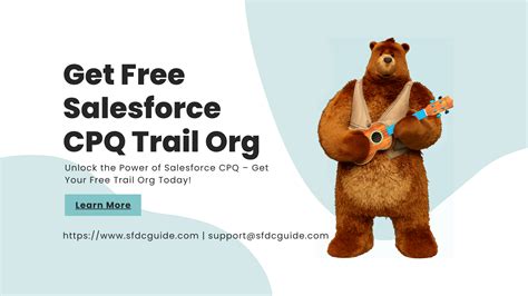 Image result for Salesforce Developer Track